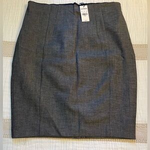Express Pencil Skirt